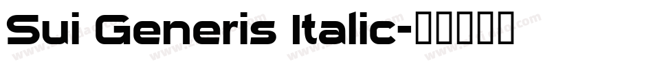 Sui Generis Italic字体转换